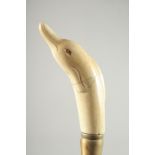 A WALKING STICK with carved bone handle. "DOLPHIN"