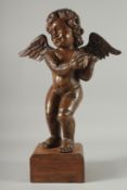 A VERY GOOD 17TH - 18TH CENTURY CARVED WOOD ANGEL on a black base. 23ins high.