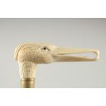 A WALKING STICK with carved bone handle. "DUCK"