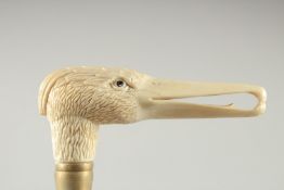 A WALKING STICK with carved bone handle. "DUCK"