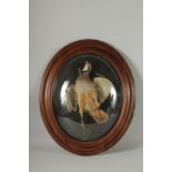 A 19TH CENTURY FRAMED AND GLAZED TAXIDERMY red legged partridge. By LA MAISON LEDOT. Frame 24ins x