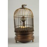 A DECORATIVE BIRD in a case 5ins high.