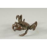 A JAPANESE BRONZE CRAB. 2.25ins