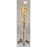 AN ADAM ROUILLY FULL SIZE MALE SKELETON.