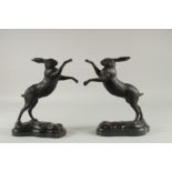 A PAIR OF BRONZE FIGHTING HARES. 10ins high on a shaped marble base.