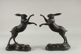 A PAIR OF BRONZE FIGHTING HARES. 10ins high on a shaped marble base.
