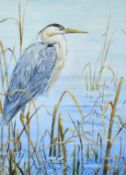 David Barber (20th Century), A heron amongst reeds, acrylic on card, signed and dated '95, 18" x