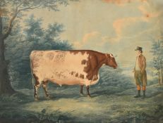 J. Whessell after J. Boultbee, 'The Durham Ox', hand coloured stipple engraving, trimmed and title