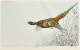 Leon Danchin (1887-1938) A Pheasant in flight, print in colours, signed in pencil, plate size 13.75"
