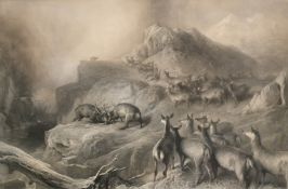T. Landseer after E. Landseer, Stags jousting on a highland mountain top with gathered Hinds