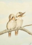 Neville Henry Cayley, (1853-1903) Australian, Two Kookaburras sitting on a branch, watercolour,