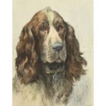 Herbert Dicksee, a colour engraving of spaniel, plate size 13" x 9" (33 x 23cm).