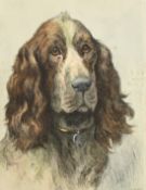 Herbert Dicksee, a colour engraving of spaniel, plate size 13" x 9" (33 x 23cm).