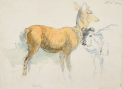 Circle of Robert Hills (19th Century), A study of Deer, inscribed and dated in pencil, watercolour