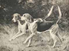 After Thomas Blinks, A couple of Fox Hounds, photogravure, signed in pencil and dedicated, 16.75"