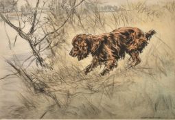 Henry Wilkinson, A Spaniel on a riverbank, coloured etching, signed and numbered 35/150 in pencil,