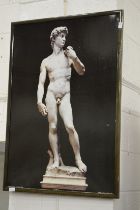 Michelangelo's David, printed poster on board.