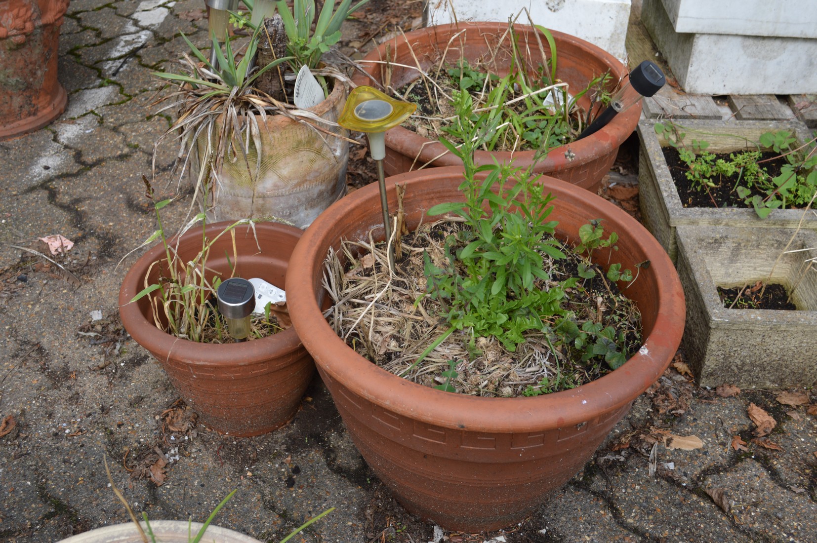 A pair of large terracotta plant pots, a similar smaller one and another pot.