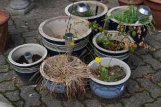 Seven various glazed plant pots.