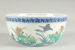 A CHINESE DOUCAI PORCELAIN BOWL, painted with birds and aquatic flora, the base with six-character