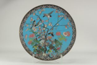 A LARGE BLUE GROUND CLOISONNE CHARGER, decorated with birds, butterfly and flora, 45.5cm diameter.