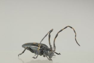 A JAPANESE METAL WORK FIGURE OF A BEETLE.