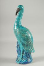 A 19TH CENTURY CHINESE TURQUOISE GLAZED POTTERY STORK, 40cm high.