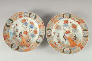 A PAIR OF CHINESE POLYCHROME PORCELAIN PLATES, with enamel painted decoration depicting a peacock