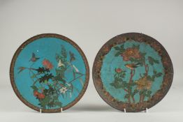 TWO BLUE GROUND CLOISONNE DISHES, decorated with flora, birds and butterflies, each 30.5cm