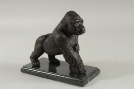 A BRONZE GORILLA on a marble base. 6ins long.