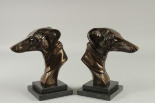 A PAIR OF BRONZE BUSTS OF GREYHOUNDS. 8.5ins high.