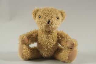 AN EARLY WOOL TEDDY BEAR with glass eyes. 12ins long.