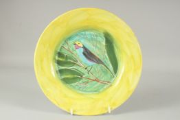 A YELLOW GROUND CIRCULAR PORCELAIN PLATE with a bird. Signed on reverse and dated '91. 9.5ins
