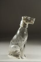 A SILVER PLATED AND GLASS DOG CLARET JUG. 10ins high (lacking one eye).