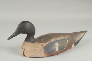A CARVED WOOD DECOY DUCK. 13ins long.