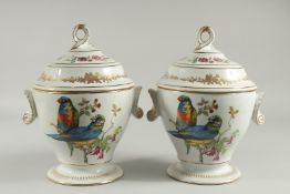 A GOOD PAIR OF SEVRES DESIGN WHTIE GROUND ICE PAILS AND COVERS decorated with birds. 9ins high.