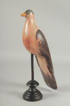 A CARVED WOOD DECOY PIGEON.