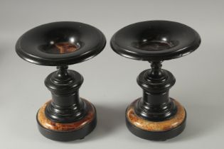 A GOOD PAIR OF 19TH CENTURY MARBLE AND FELSPAR CIRCULAR TAZZAS. 11ins high.