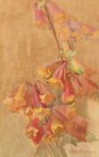 Hetty Dymock (1876-1977) Australia, a still life study of flowers, watercolour, signed, 17.5" x