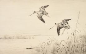 Roland Green (1890-1972), Snipe coming into land on a waterway, signed in pencil and numbered 31/75,