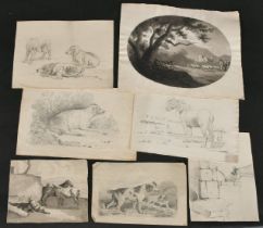 A large quantity of pencil drawings mainly 19th Century landscapes and animals, sizes from 5.5" x