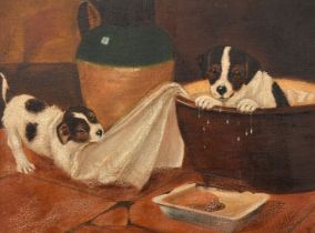 Early 20th Century English School, terriers playing, oil on canvas, signed with initials, 12" x 16.