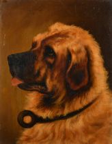 Late 19th Century English School, a pair of head studies of dogs, oil on board, indistinctly