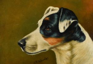 J. A. Wheeler, late 19th Century, a head study of a dog, oil on canvas laid down, signed, 9.5" x 13"