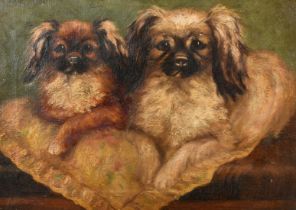 Agnes Field, late 19th Century, a study of two Pekinese Spaniels, oil on canvas, signed with