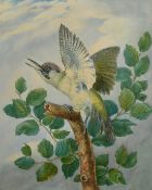 19th Century British School, a study of a bird perched on a tree, watercolour, 17.5" x 14" (44.5 x