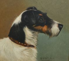 W. H. Wheeler (late 19th Century), a head study of a terrier, oil on board, signed, 8.5" x 9.5" (22x