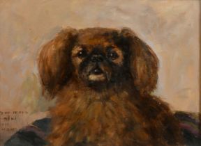 Early 20th Century English School, a study of a Pekingese, oil on canvas, inscribed 'To My Friend