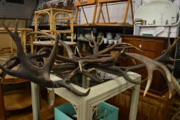 A large and unusual antler chandelier.
