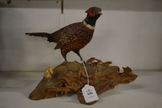 Model of a cock pheasant on a carved wood base.